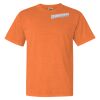 Garment Dyed Heavyweight Ringspun Short Sleeve Shirt Thumbnail